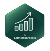 ledningsprocess
